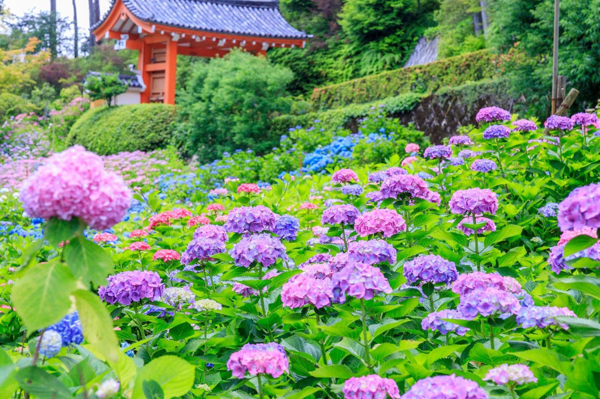 Mimaru Kyoto Nishinotoin Takatsuji Hotel Bagian luar foto