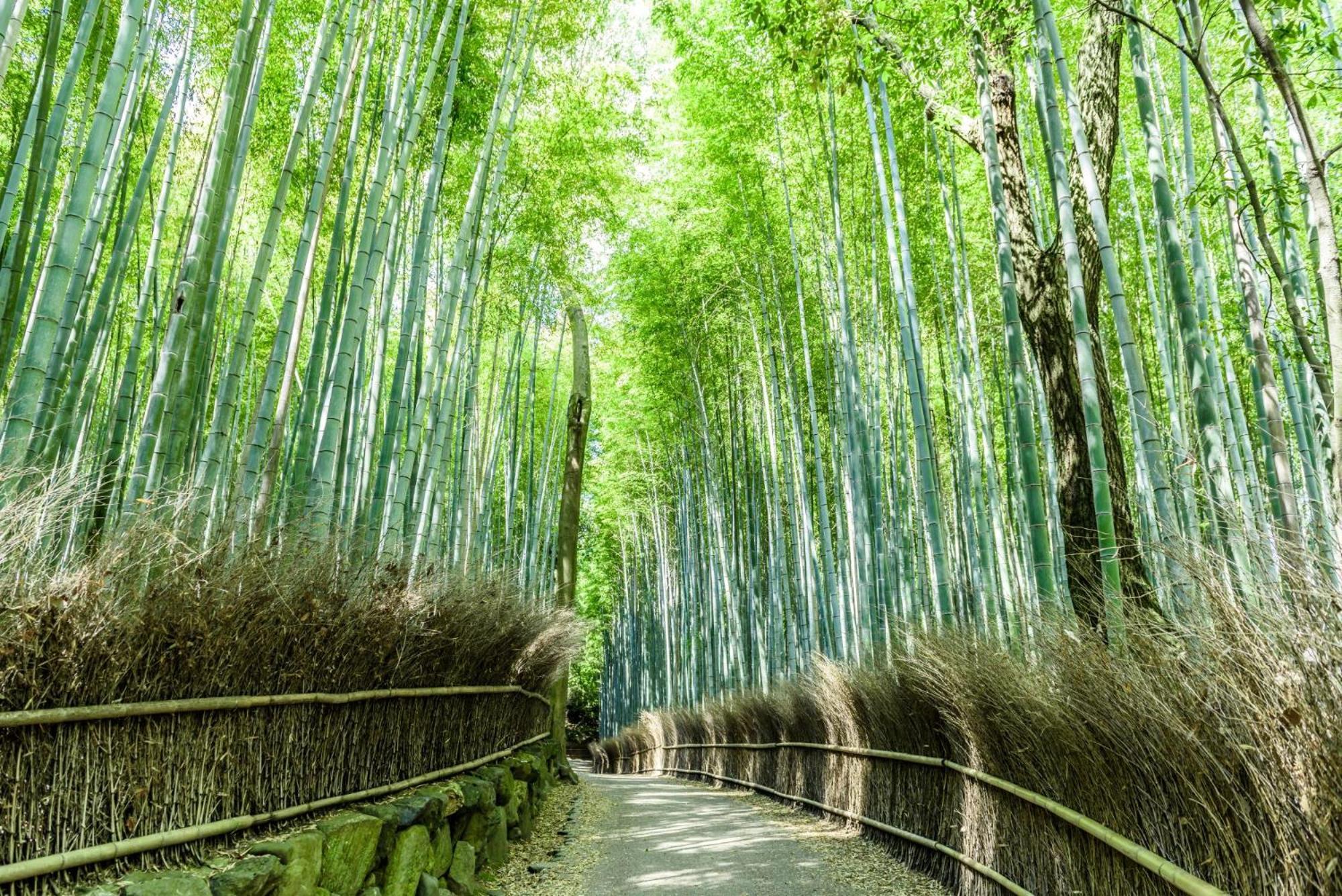 Mimaru Kyoto Nishinotoin Takatsuji Hotel Bagian luar foto